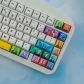 Fancy 104+25 PBT Dye-subbed Keycaps Set Cherry Profile for MX Switches Mechanical Gaming Keyboard